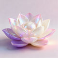 Spiritual Awakening Guidance